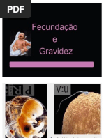  Fecundação e Gravidez