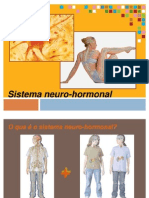 Sistema Neuro-hormonal