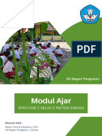 Modul Ajar IPAS - Energi - Fase C