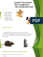 PPT Pengambilan Sampel Tikus Rumah