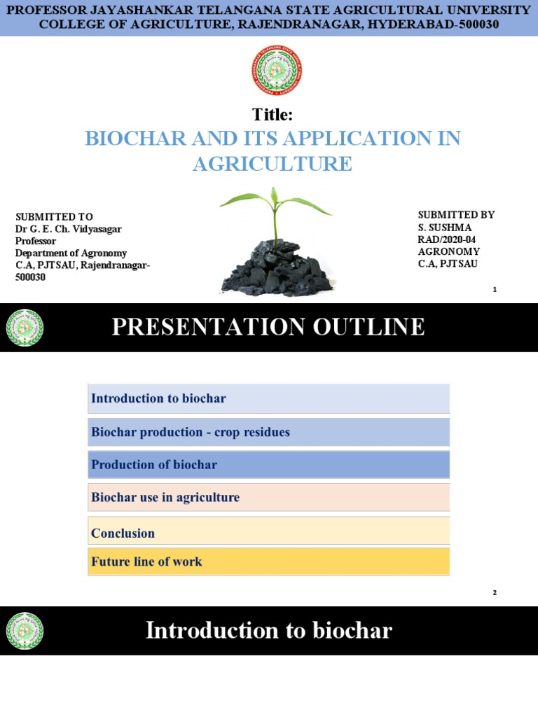 Biochar Applications in Agriculture | PDF | Pyrolysis | Soil