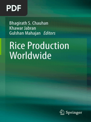 Rice Production Worldwide | PDF | Rice | Soil