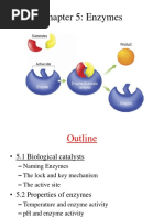 Chapter 5 - Enzymes