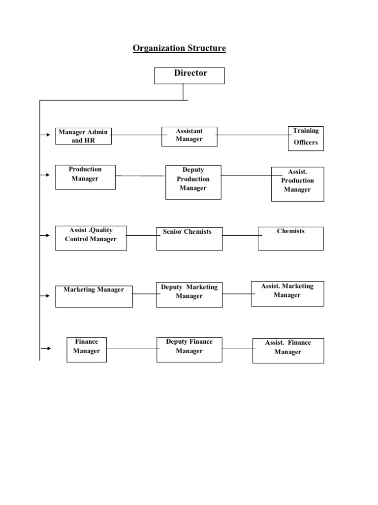 Data Structure Overview | PDF