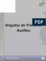 Manual de Brigadas de Primeros Auxilios 2010