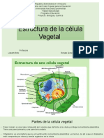 Estructura de La Celula Vegetal.