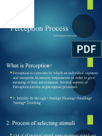 Perception Process: Muhammad Hussain