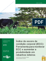 Índice de escore de condição corporal (iECC): Ferramenta para monitorar ECC e aumentar produtividade em rebanhos leiteiros