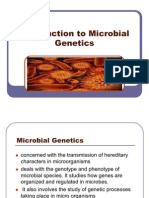 REPORT Introduction to Microbial Genetics