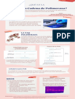 Qué es la PCR