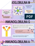 Sistema Inmune