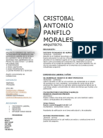 CV Arq Cristobal Antonio Panfilo Morales 5