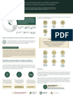 Infografia Criterios