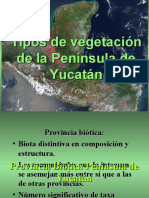Tipos de Vegetacion PY