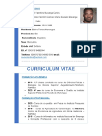 NOEL VALENTINO CV UPDATES