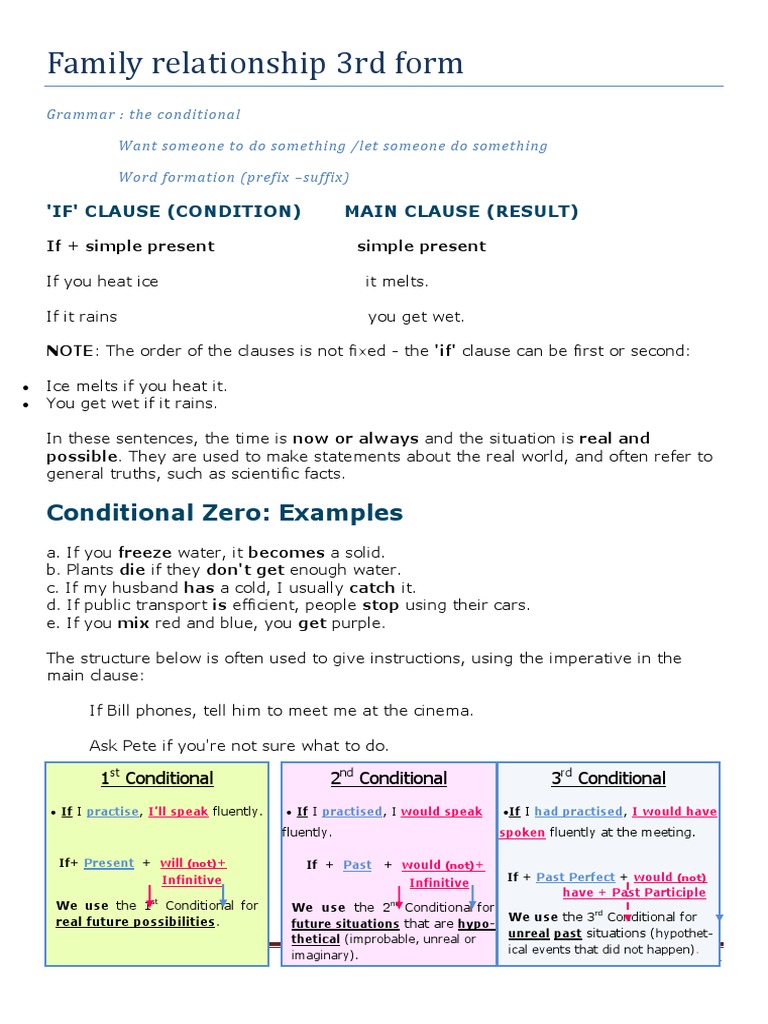 Family Relationship 3rd Form: Conditional Zero: Examples | PDF ...