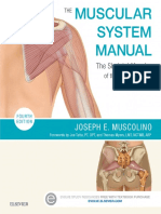 Vdoc - Pub The Muscular System Manual The Skeletal Muscles of The Human Body