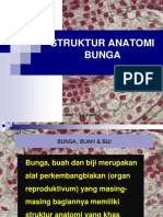 Struktur Anatomi Bunga
