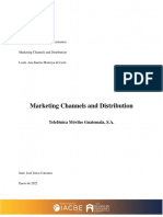 Tarea Marketing Channels and Distribution