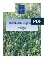 Introduccion Ae PDF