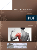 Anatomía Kinesiologia