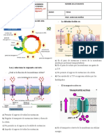 Acumulativo C.N. II Periodo