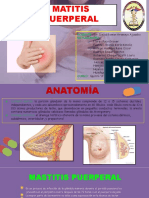 Mastitis Grupo 4