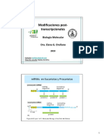 RNA II BM Bioq-2019 TV