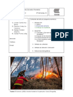 Boletin Informativo - Grupo - Incendios Forestales