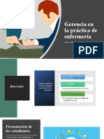 1 Introduccion Gerencia en La Practica de Enfermeria