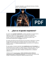 Función y órganos del sistema respiratorio humano