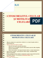 BioCel Curs 10,11motilitatea Celulara