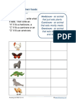 grade-2-animals-food-b