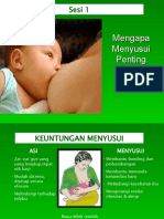 Mengapa Menyusui Penting