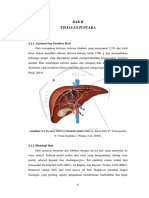 Bab Ii PDF