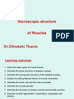 Microscopic Structure of Muscles DR - Dilrukshi Thavin
