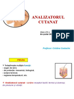 Analizatorul Cutanat - Cls. Xi