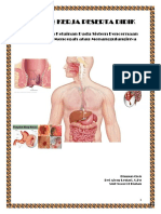 LKPD Penyakit Pada Sistem Pencernaan Pada Manusia