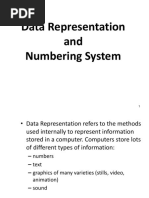 Data Representation and Numbering System