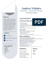 CV - Andres Vidales