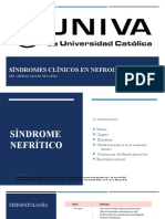 Síndromes Clínicos en Nefrología 2
