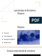 Sobrevivência Estruturas Especializadas de Resistência (Oósporos)