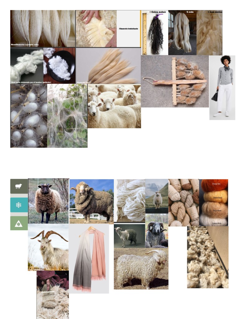 Anli | PDF