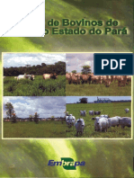 Criação de Bovinos A Pasto Pará - Embrapa