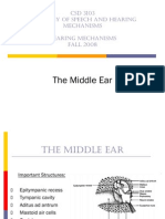 Middle Ear