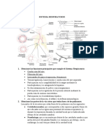 Guía de Estudio de Sistema Respiratorio PDF