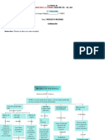 Campos Rodriguez Fatima - Mapa Conceptual Del Pib