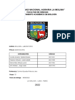 Informe de Micros