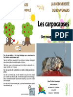 Cycle de Vie de La Carpocapse Des Pommes