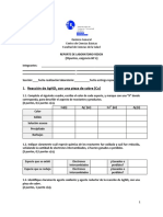 Reporte Laboratorio Reacciones Redox